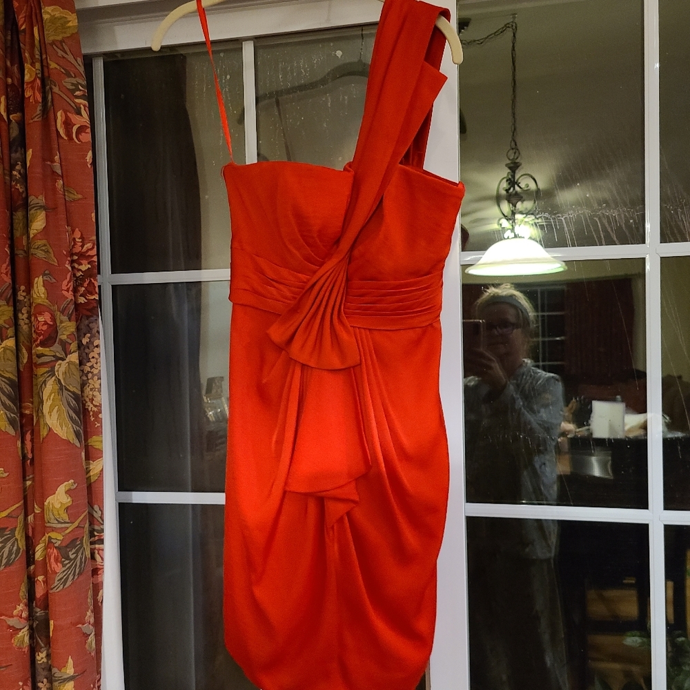 Dress Is A Stunner! - Picture 7 of 13